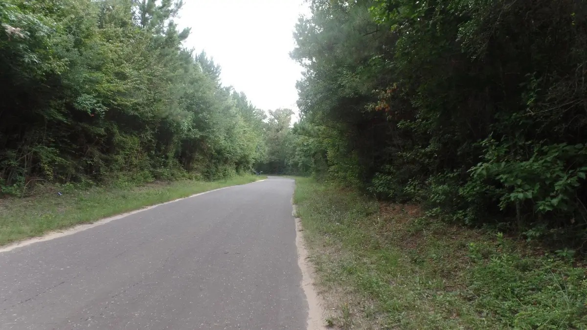 R00711-38.65 ac County Road 20, Jasper, TX 75951 - #1