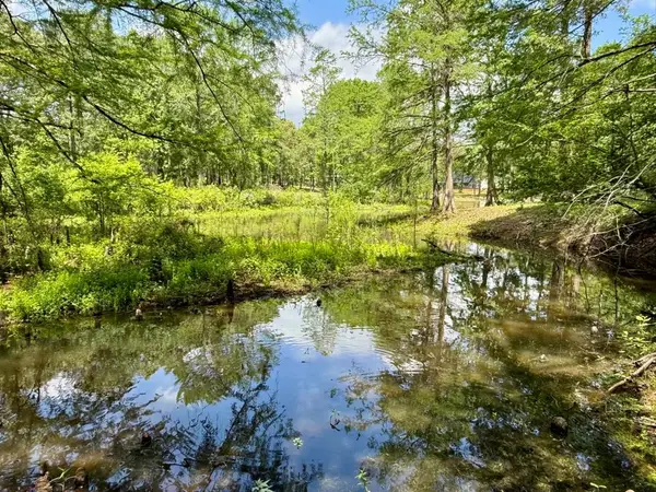 479 Falcon Drive, Hemphill, TX 75948