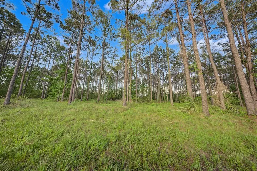 1055 Fm 1005, Jasper, TX 75951 - #3