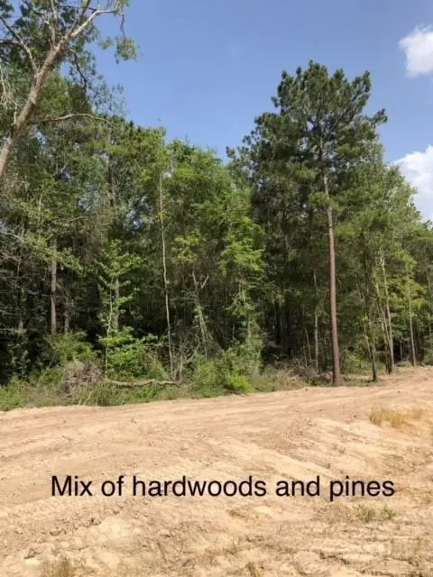 121 Yaupon Court, Lufkin, TX 75904 - #2