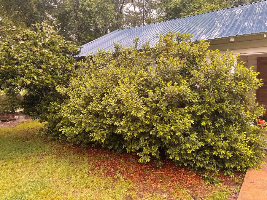 303 Davidson Street, Newton, TX 75966 - #3