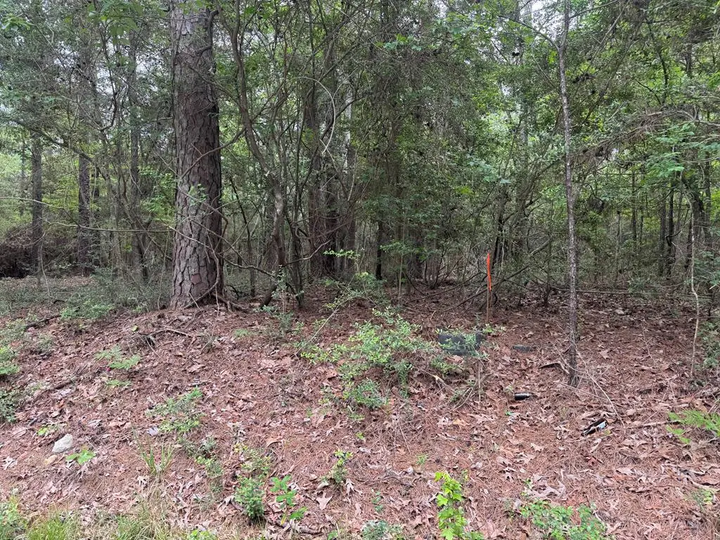 Lot 237236 Arborcrest Drive, Brookeland, TX 75931 - #1