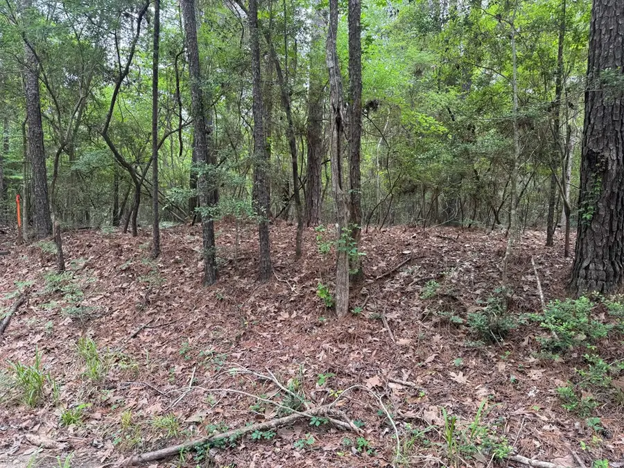 Lot 237236 Arborcrest Drive, Brookeland, TX 75931 - #2