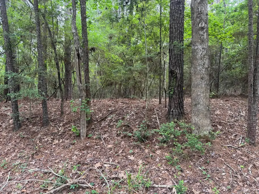 Lot 237236 Arborcrest Drive, Brookeland, TX 75931 - #3