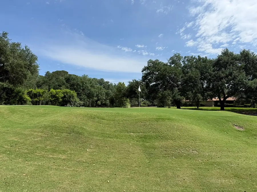 15 Champions Way, Brookeland, TX 75931 - #3