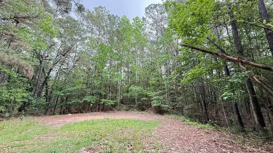 R034741 Big Pine Court, Brookeland, TX 75931 - #3
