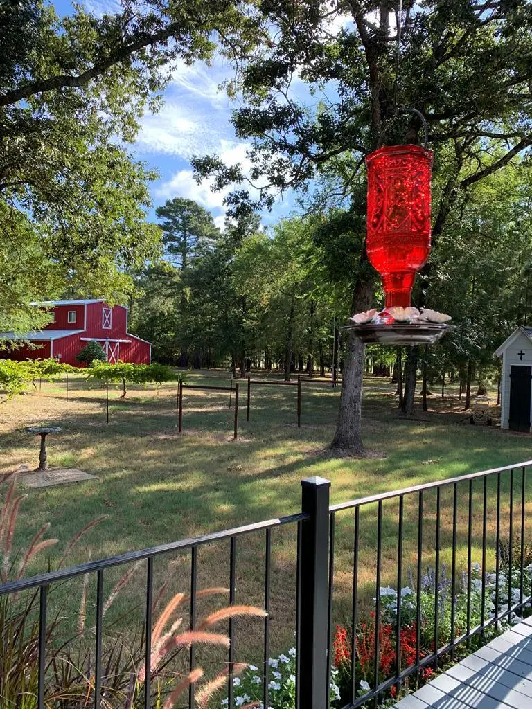 10427 Fm 229, Grapeland, TX 75844 - #1