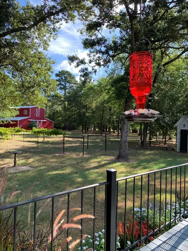 10427 Fm 229, Grapeland, TX 75844