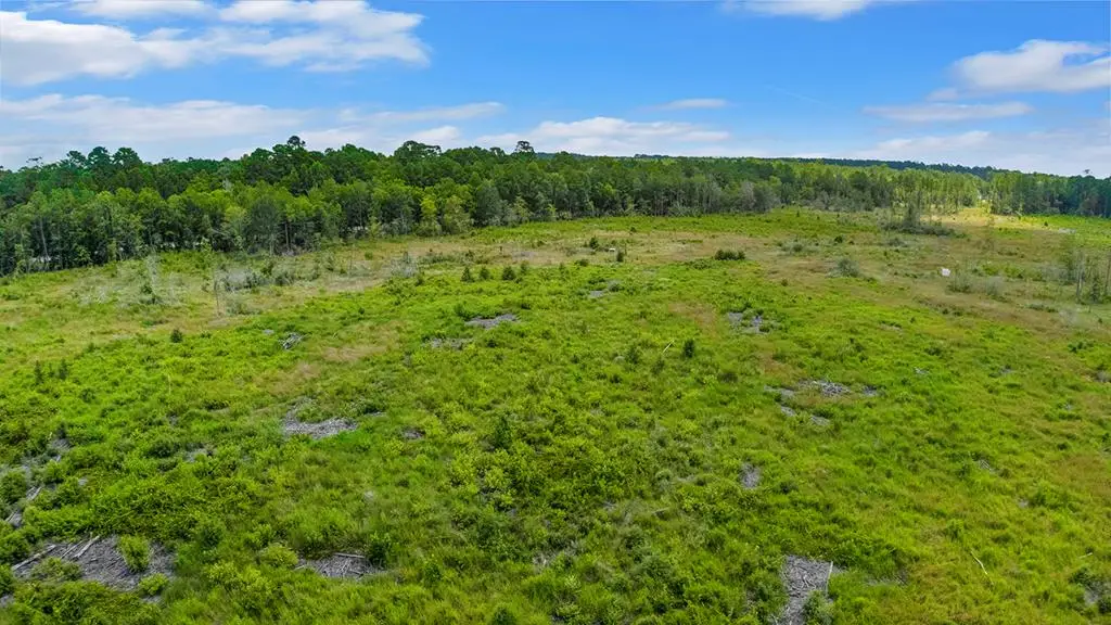 8548 Tx State Hwy 63 W, Jasper, TX 75951 - #1