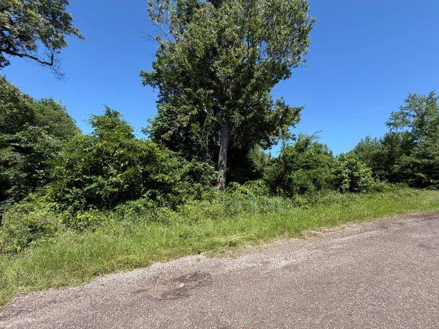 1153 Cr 342, Henderson, TX 75654 - #1