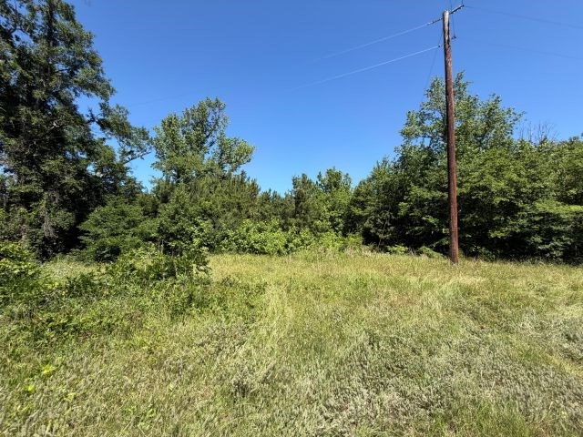 1153 Cr 342, Henderson, TX 75654 - #2