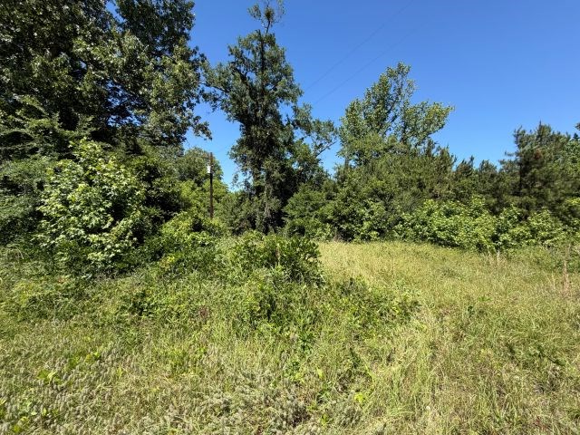 1153 Cr 342, Henderson, TX 75654 - #3