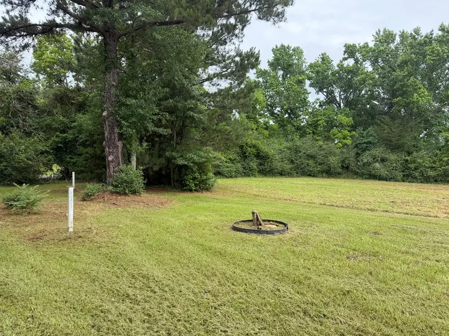 368 County Road 1180, Center, TX 75935 - #3