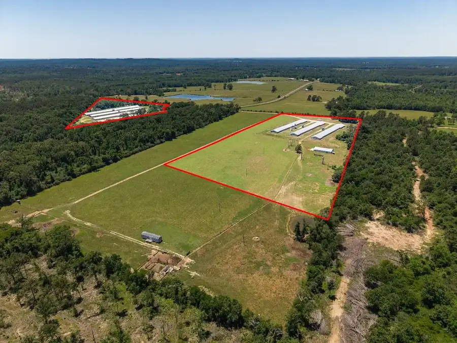 8015 Fm 2026, Tenaha, TX 75974 - #2