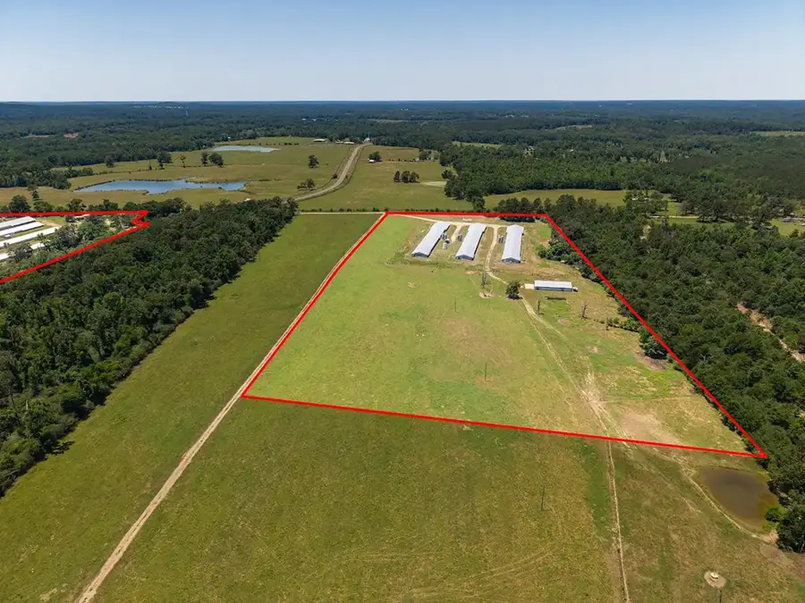 8015 Fm 2026, Tenaha, TX 75974 - #3