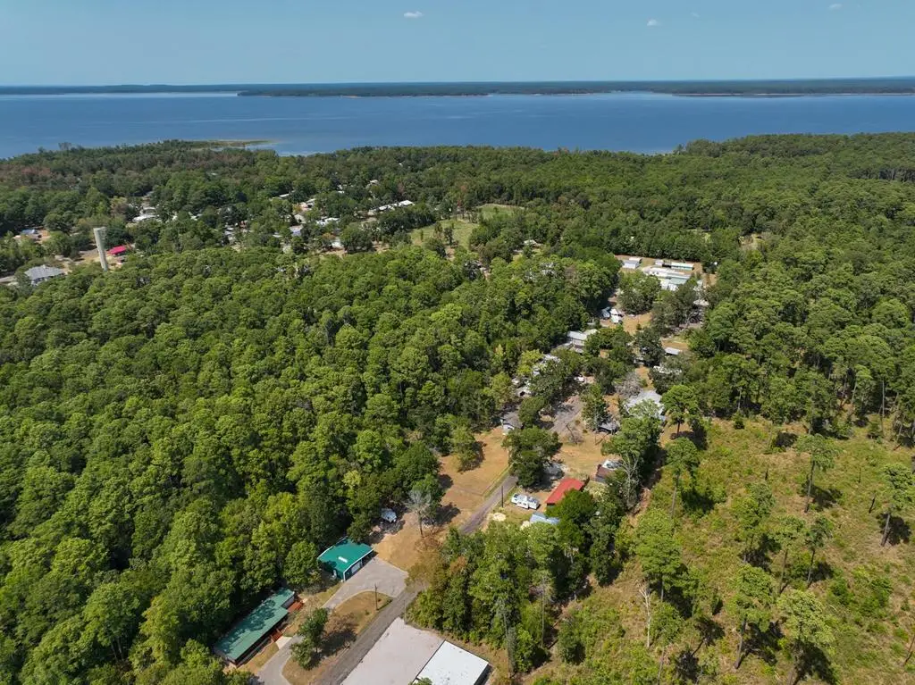250 Honeysuckle Drive, Zavalla, TX 75980 - #1