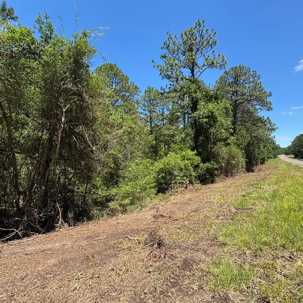 2600 Sam Rayburn Pkwy, Brookeland, TX 75931 - #1