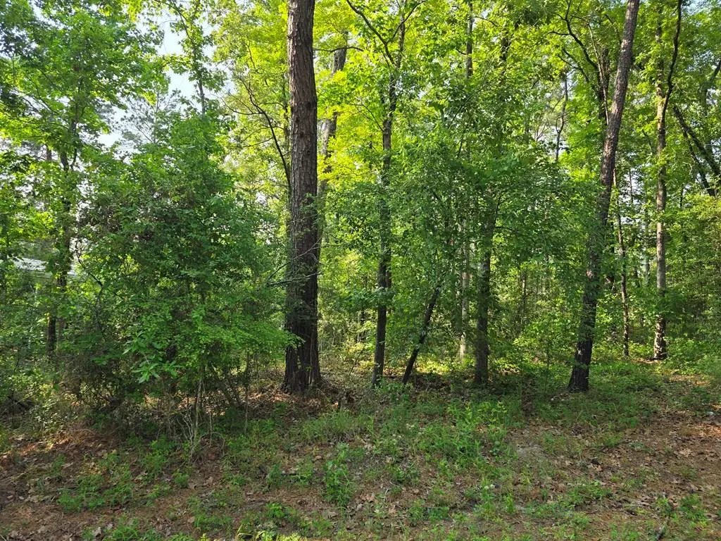 150 Angleridge Drive, Brookeland, TX 75931 - #1
