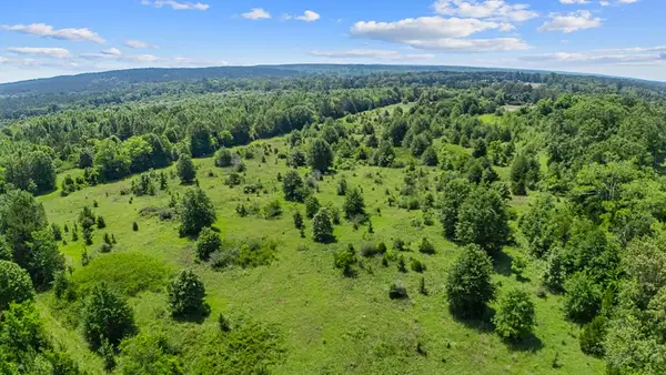 116.6 +/- Acres Cr 425, Nacogdoches, TX 75937
