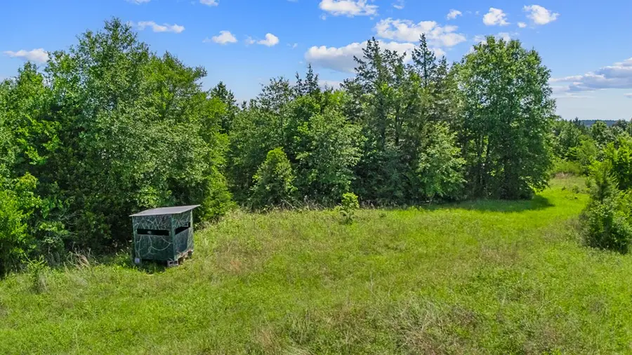 116.6 +/- Acres Cr 425, Nacogdoches, TX 75937 - #3