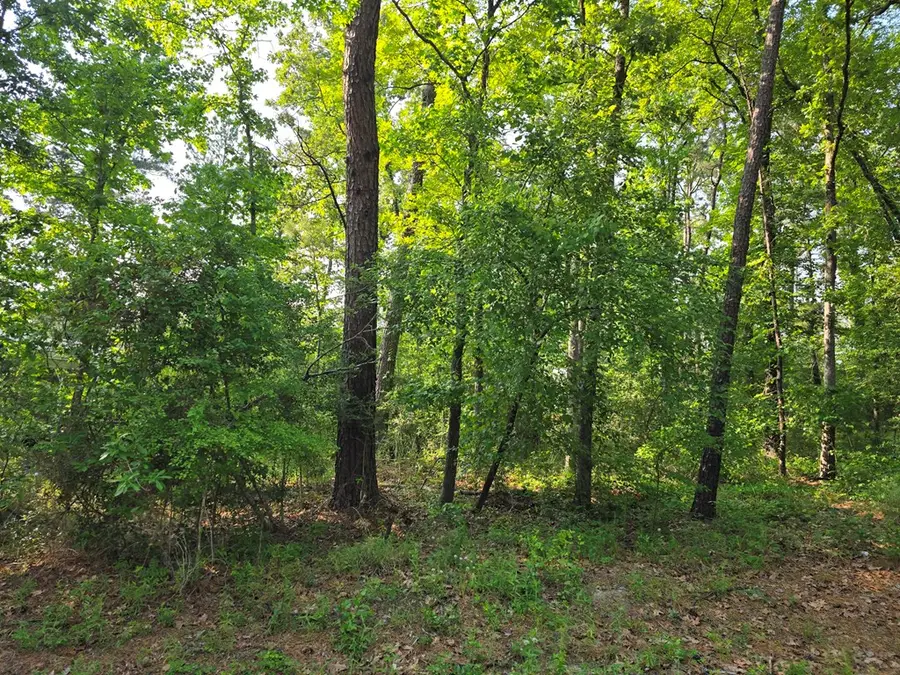 121 Sumac Drive, Brookeland, TX 75931 - #2