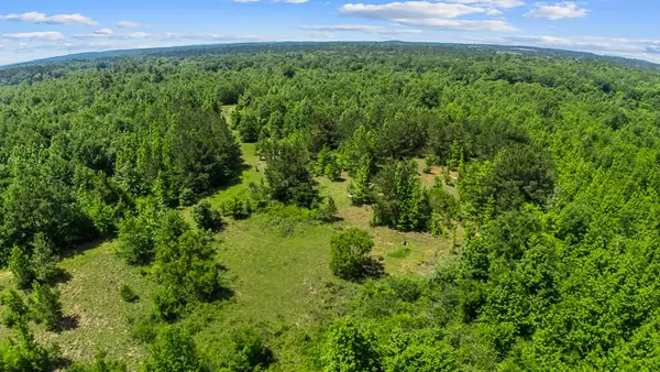 167.022 Acres Cr 425, Nacogdoches, TX 75937