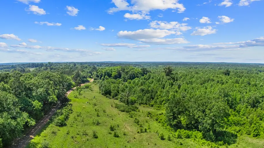 167.022 Acres Cr 425, Chireno Martinsville, TX 75937 - #3