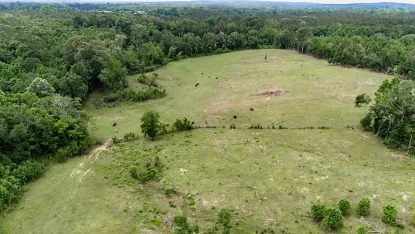 R28011 Fm 1971, GARRISON, TX 75946