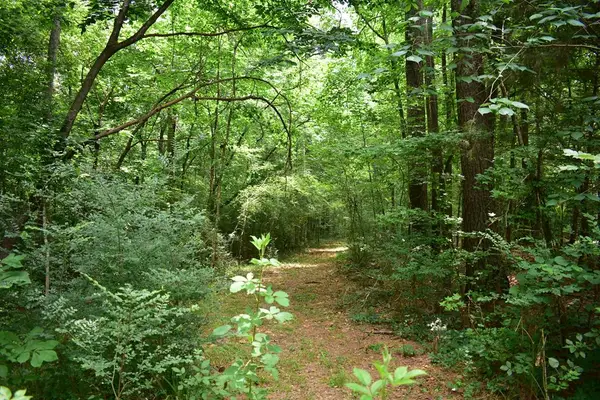 Lot26-31;36-41 Cr 508, Nacogdoches, TX 75961