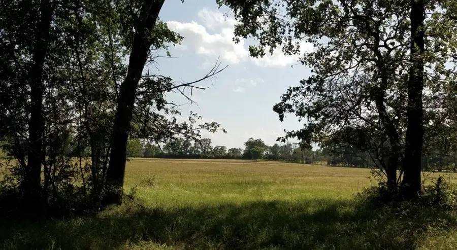 A00008 Kickapoo Road, Groveton, TX 75845 - #2