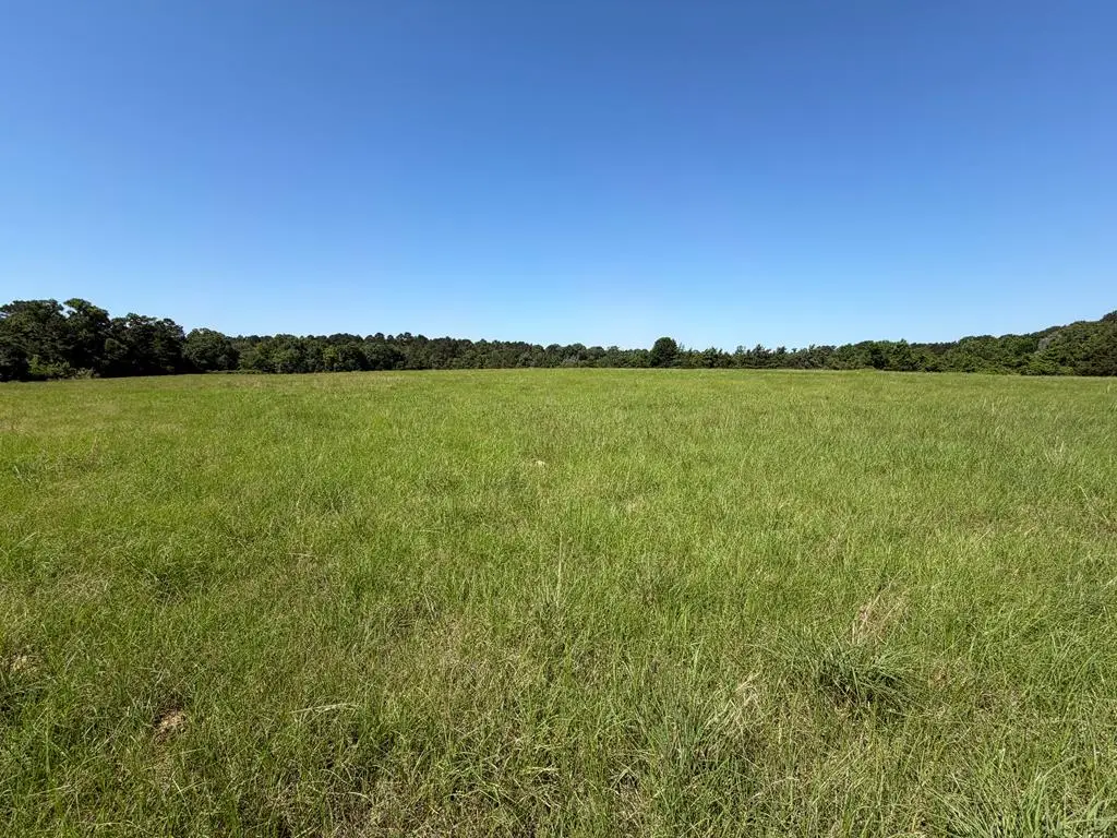 2199 Fm 1733, Kennard, TX 75847 - #1