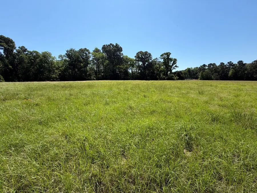 2199 Fm 1733, Kennard, TX 75847 - #2