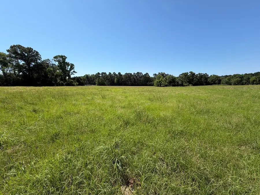 2199 Fm 1733, Kennard, TX 75847 - #3