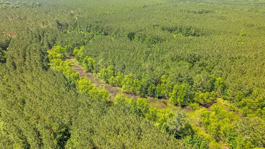 23319 Fm 343, Cushing, TX 75760 - #3