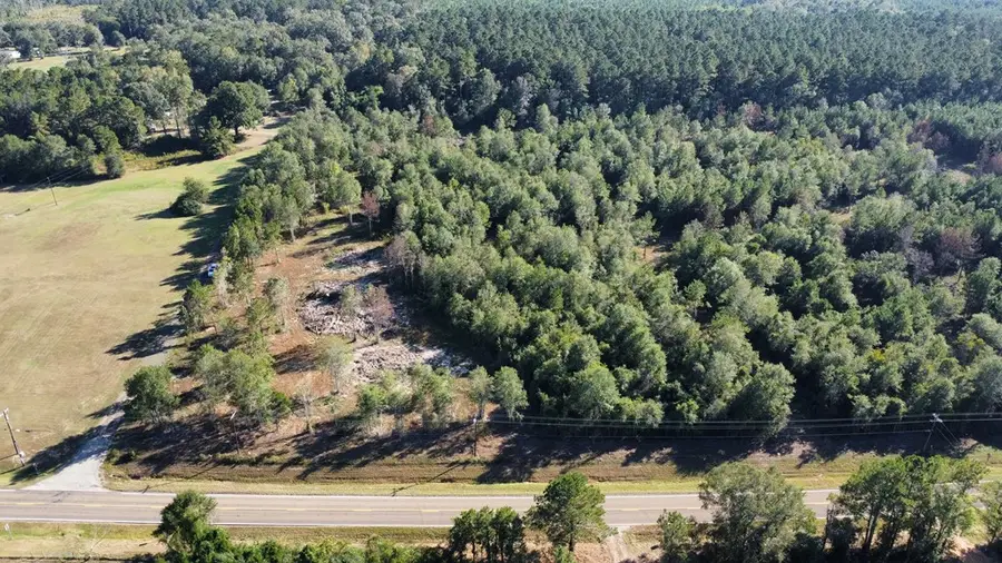 Tract 7 Cr 3057, Call, TX 75933 - #3