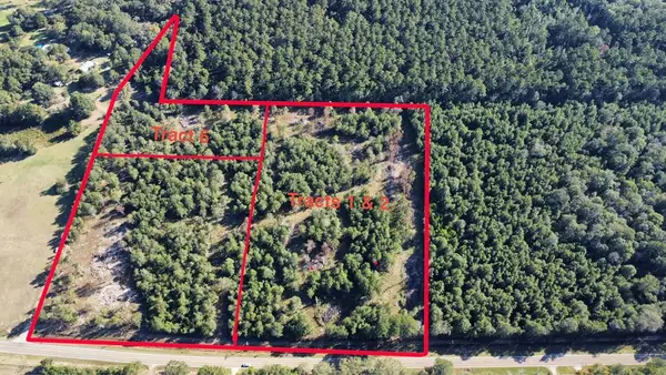 Tract 1,2 Fm 1004 E, Call, TX 75933