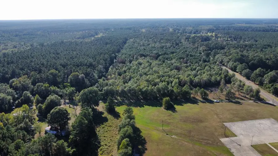 Tract 1,2 Fm 1004 E, Call, TX 75933 - #2