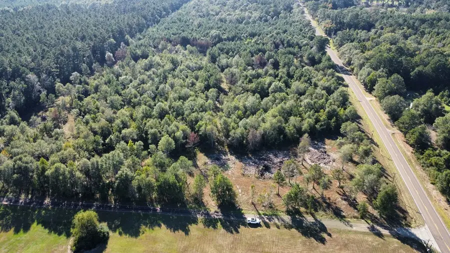 Tract 1,2 Fm 1004 E, Call, TX 75933 - #3