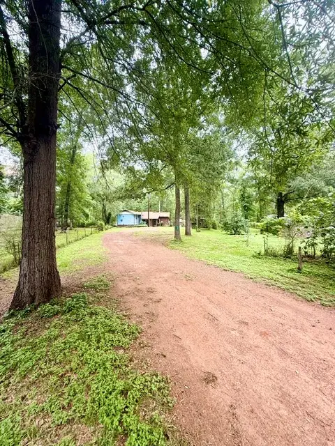 245 Forest Glen Drive, Hemphill, TX 75948 - #2