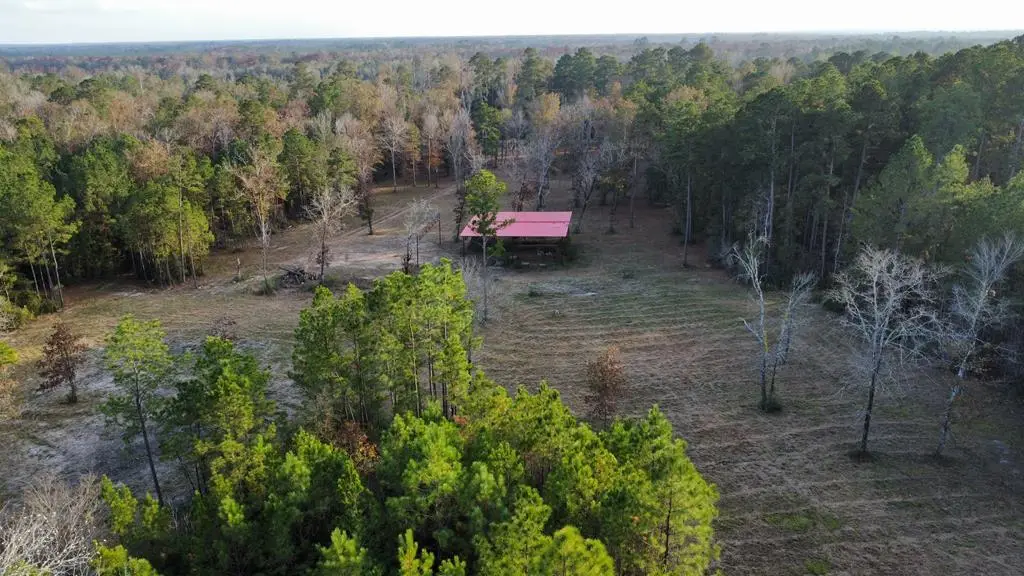 395 Hwy 63, Burkeville, TX 75932 - #1