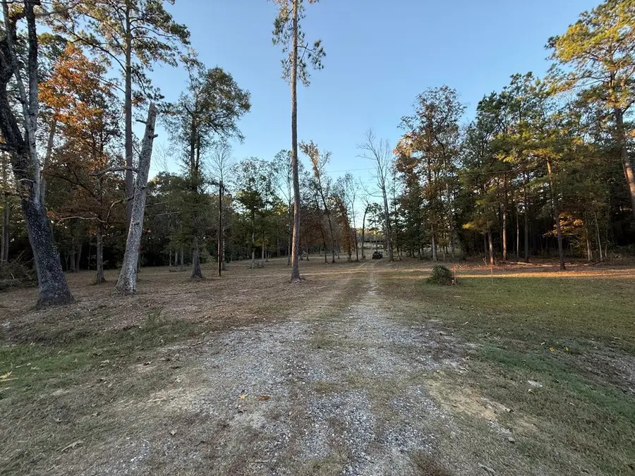 395 Hwy 63, Burkeville, TX 75932 - #3