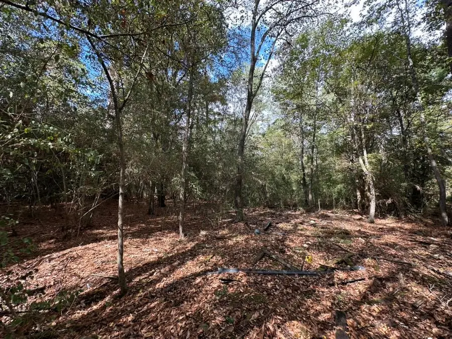 467 Jape Massingill Lane, Diboll, TX 75941 - #2