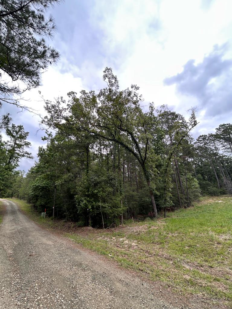 PIDN 34924 Twigwood Drive, Brookeland, TX 75931 - #1