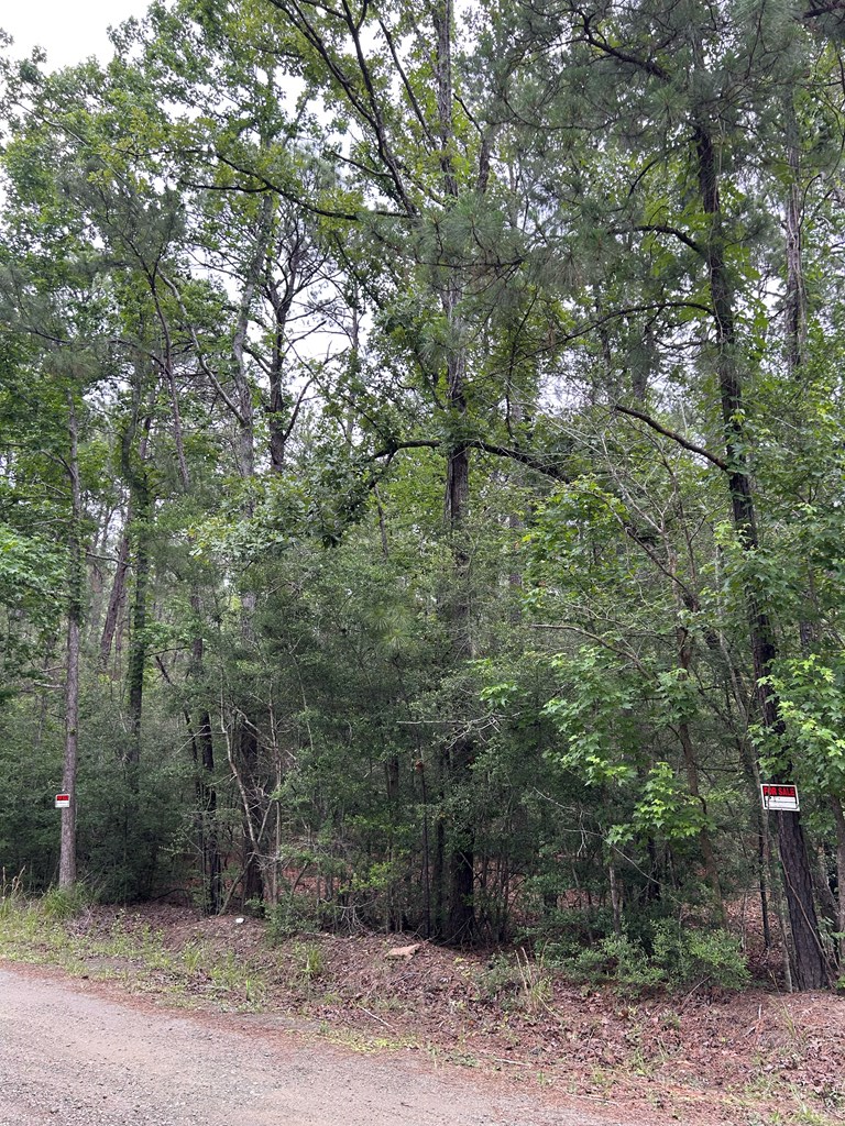 PIDN 34924 Twigwood Drive, Brookeland, TX 75931 - #3