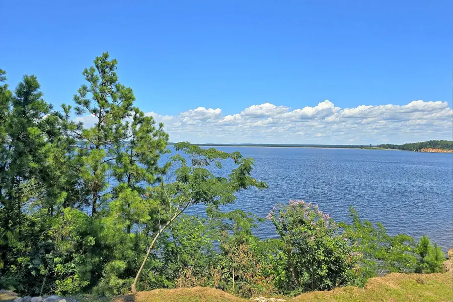 420 E Easy Street, Burkeville, TX 75932 - #2