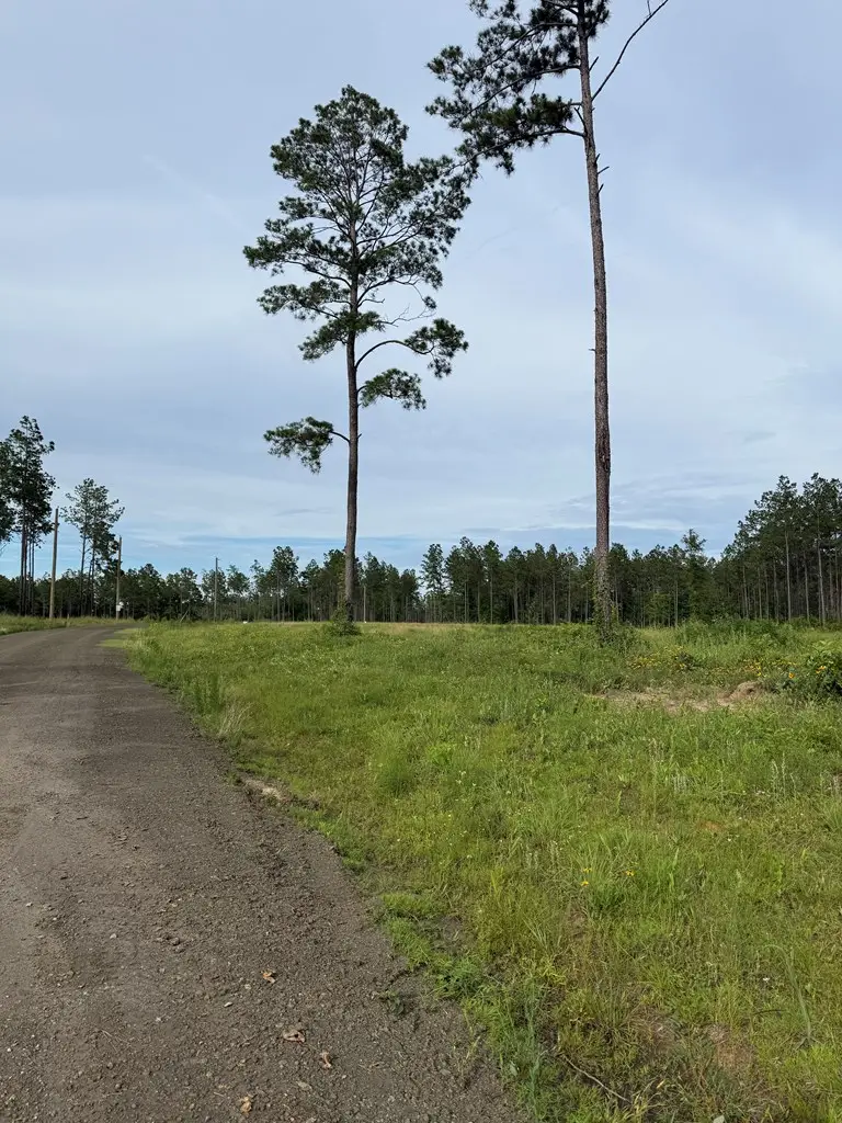 Address Withheld By Seller, Huntington, TX 75949 - #3