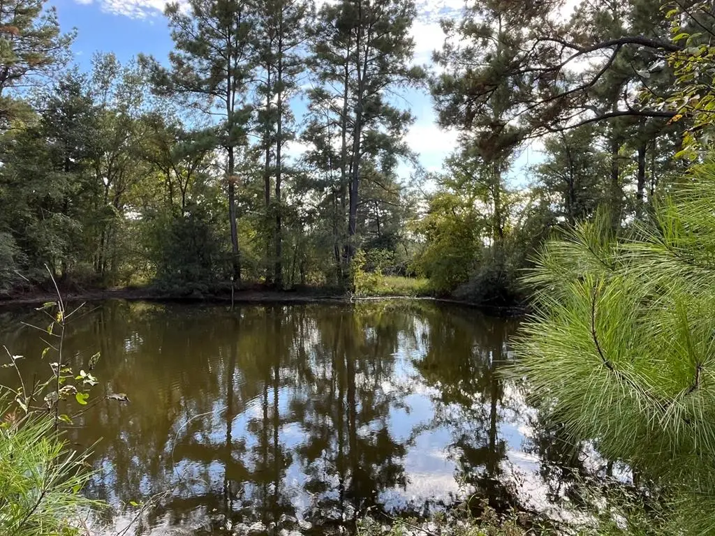 7749 Cr 4200, Pennington, TX 75847 - #1