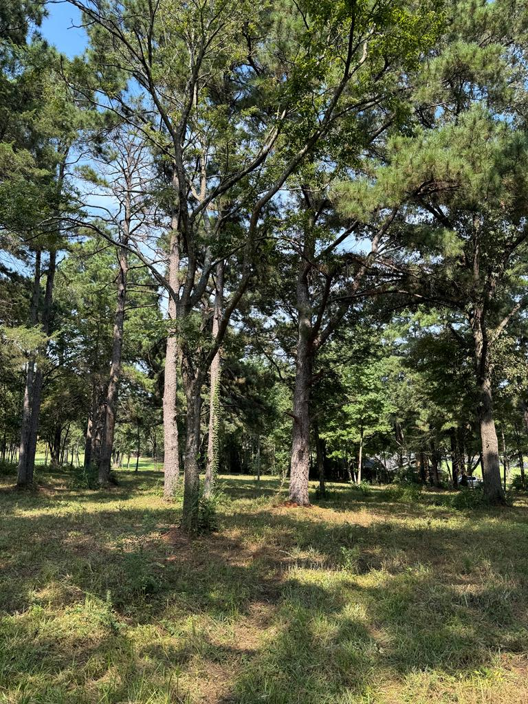 14539 Tract A Hwy 59, Nacogdoches, TX 75965 - #2