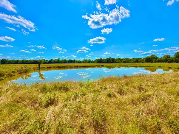 Parcel ID:8473 Cr 3095, Crockett, TX 75835