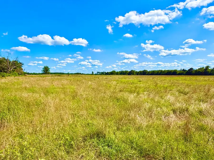 Parcel ID:8473 Cr 3095, Crockett, TX 75835 - #2